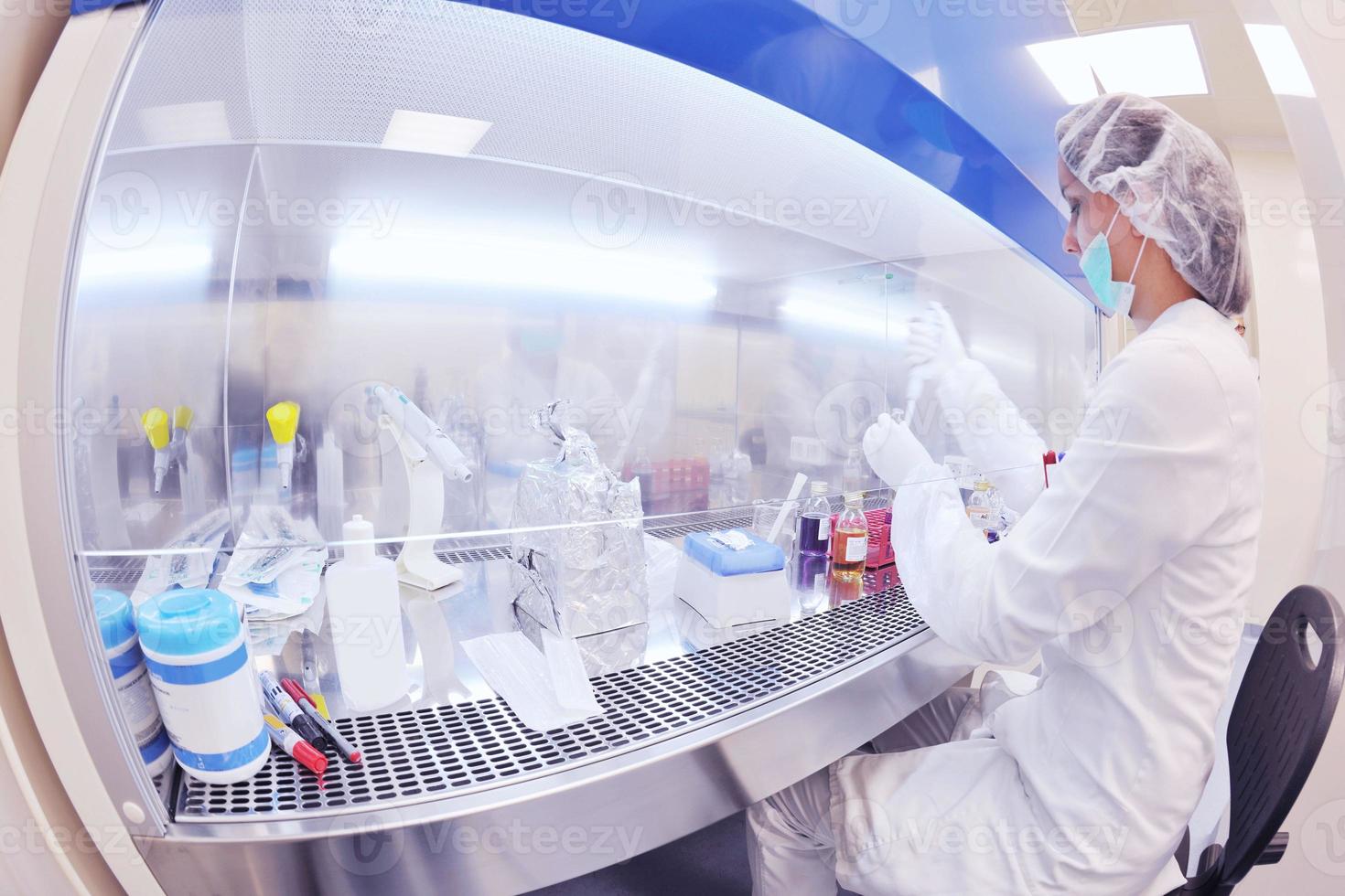 scientists working at the laboratory photo