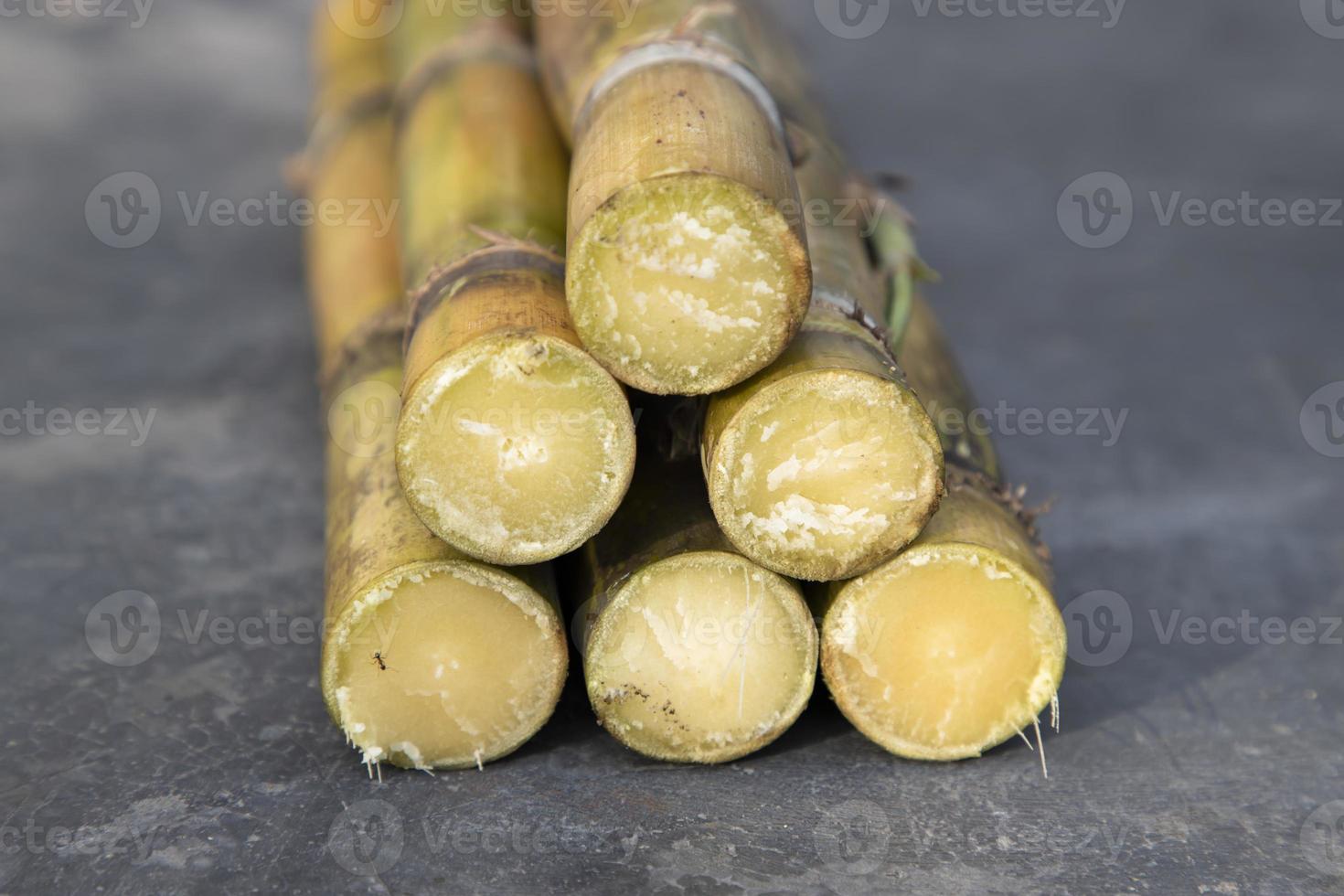 Some  fresh  sugar cane slices of   row on the floor photo