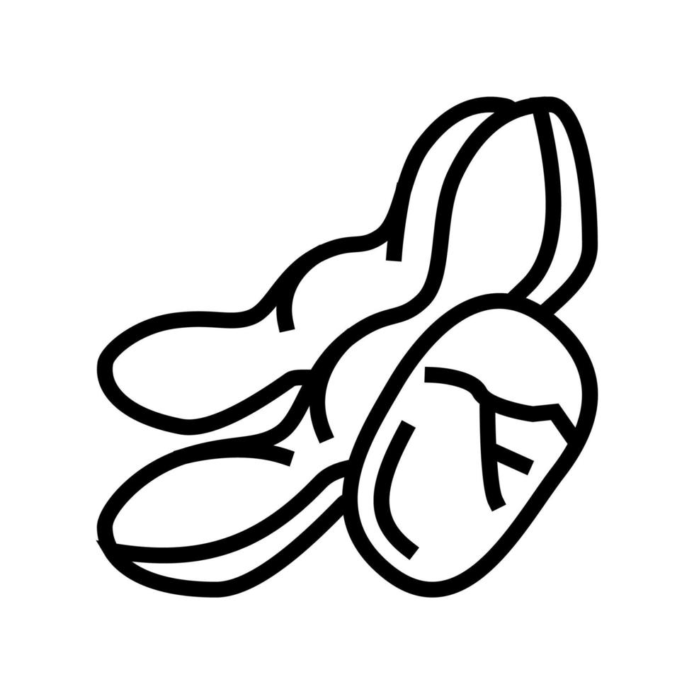 soy nut line icon vector illustration