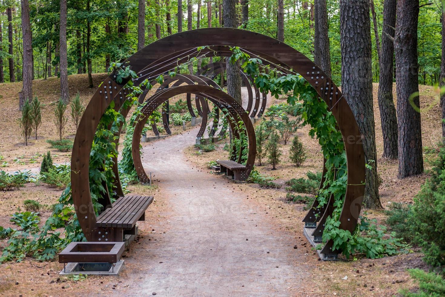 Wooden arches with benches in the city park of rest photo