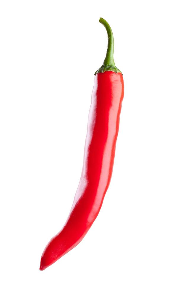 red chili or chilli cayenne pepper isolated on white background photo