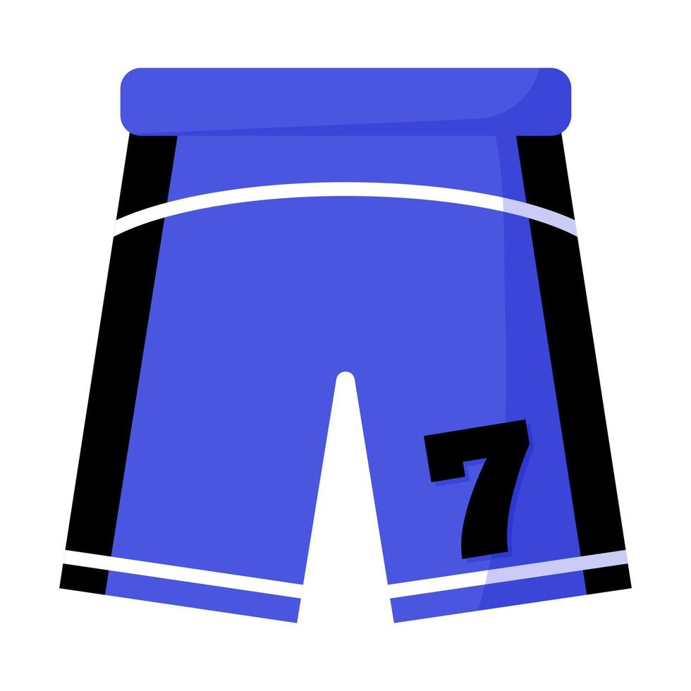 Player uniform, blue shorts with a number. 3x3 Basketball sport equipment. Summer games. vector