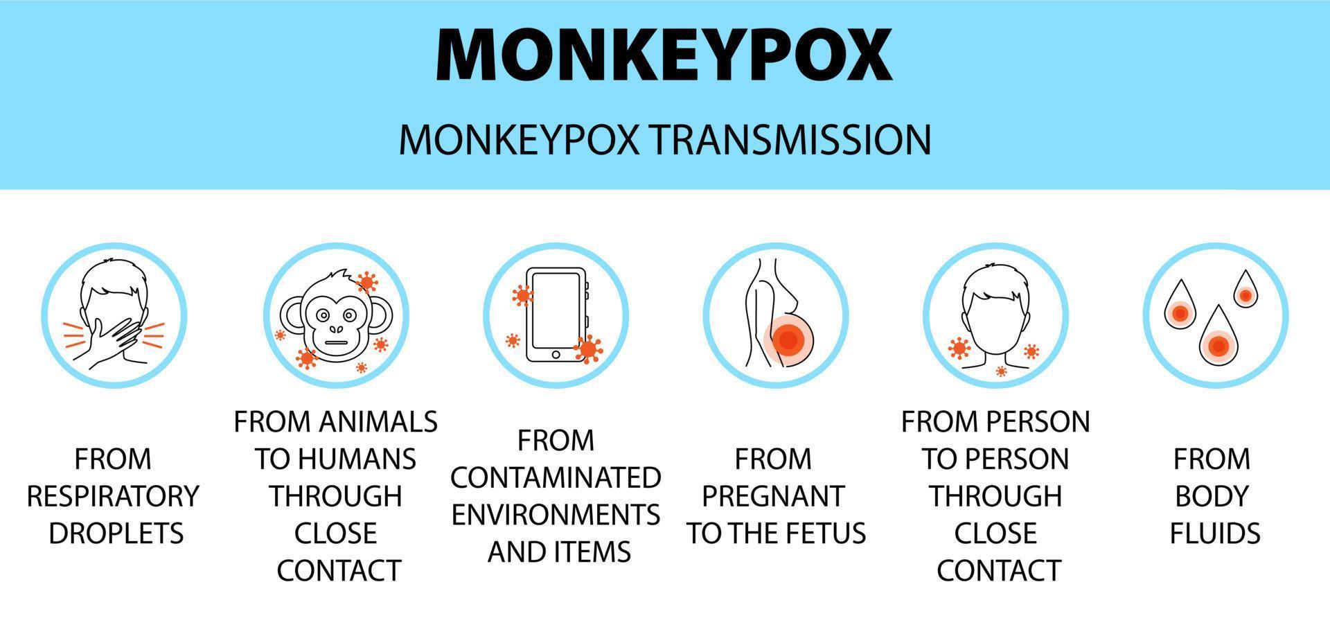 Monkeypox virus transmission icons infographic. New outbreak cases in Europe and USA. vector