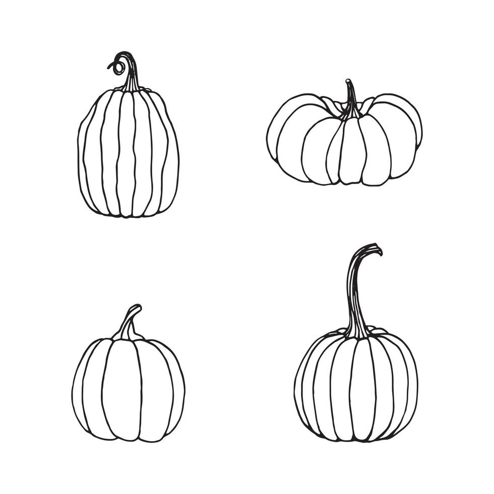 Hand drawn black and white set of pumpkins. Cartoon outline of vegetables in doodle style. Symbol of autumn harvest and Halloween. vector