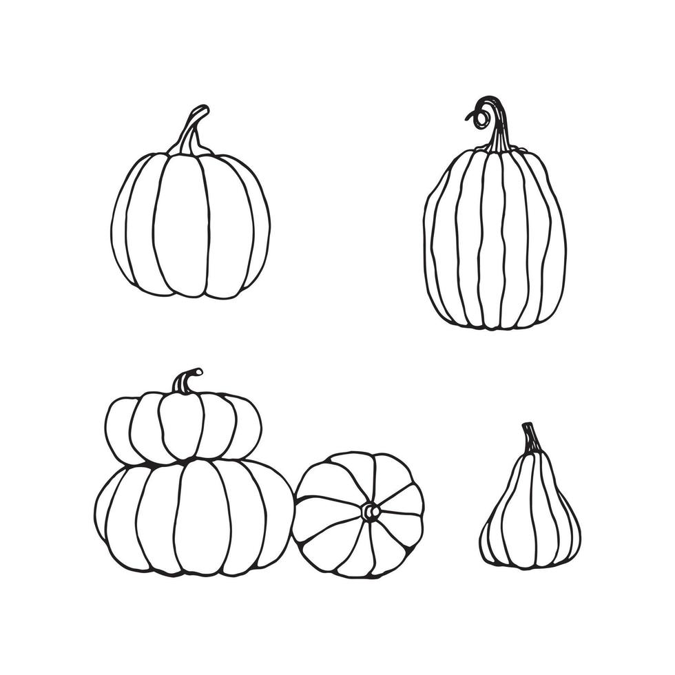 Hand drawn black and white set of pumpkins. Cartoon outline of vegetables in doodle style. Symbol of autumn harvest and Halloween. vector