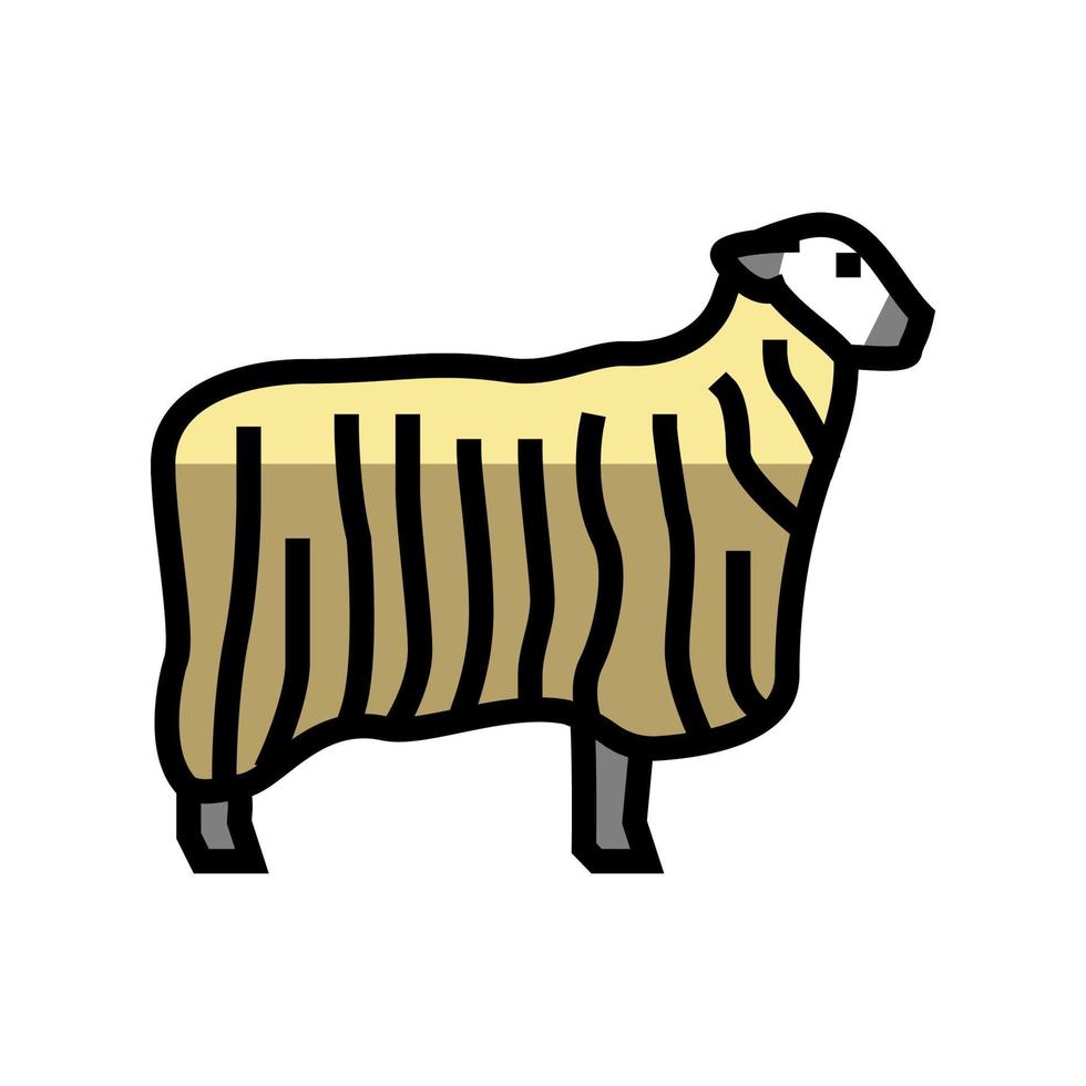 13 teeswater sheep color icon vector illustration