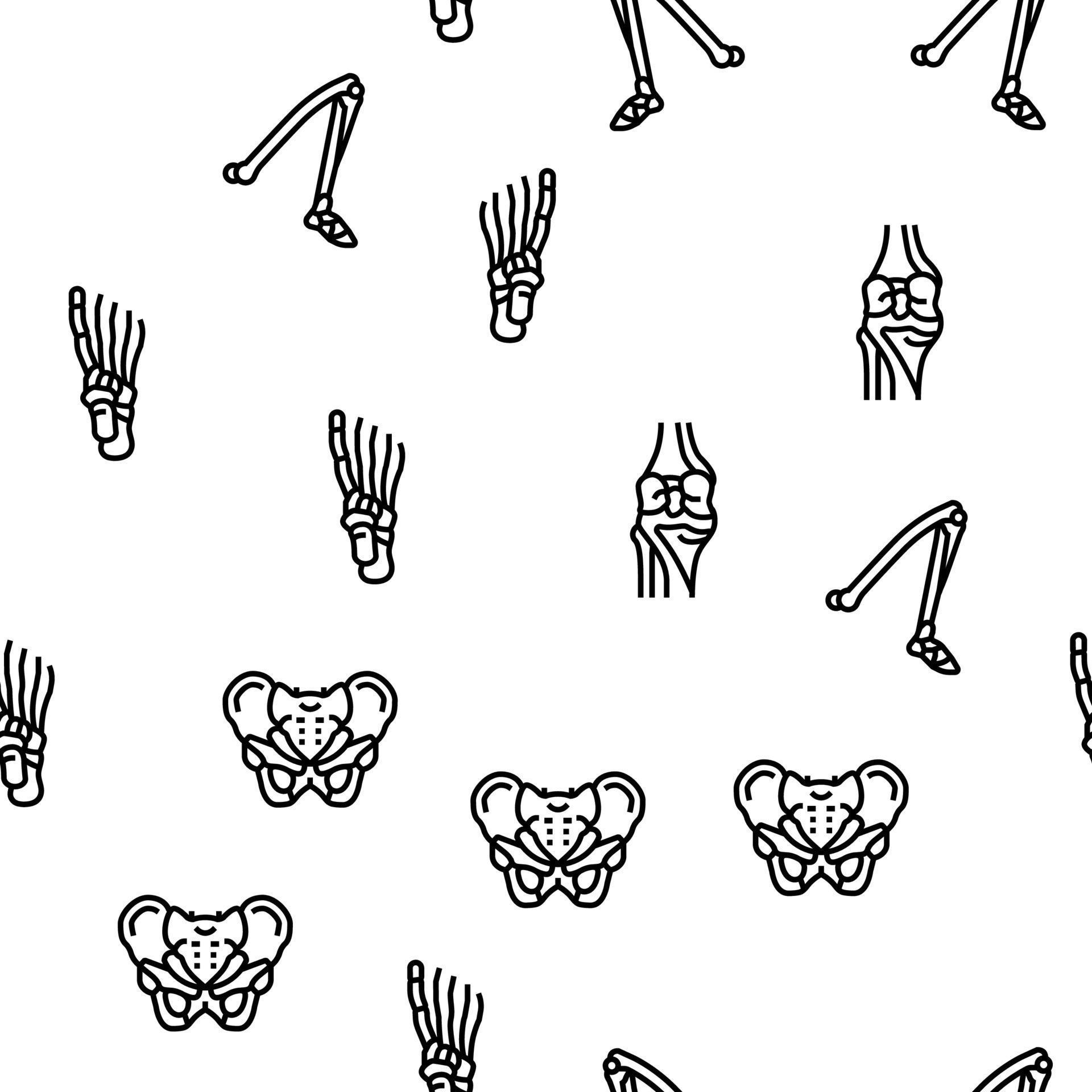 Bone Human Skeleton Structure Vector Seamless Pattern 10397948 Vector ...