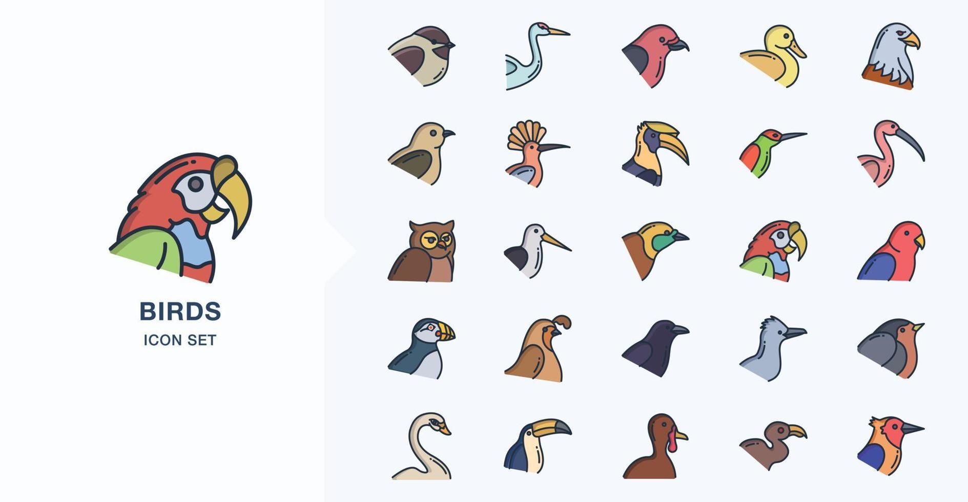 Variety of Birds linear coloured icon set vector