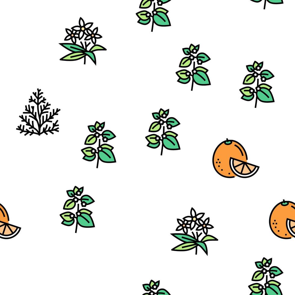 Aromatherapy Herbs Vector Seamless Pattern