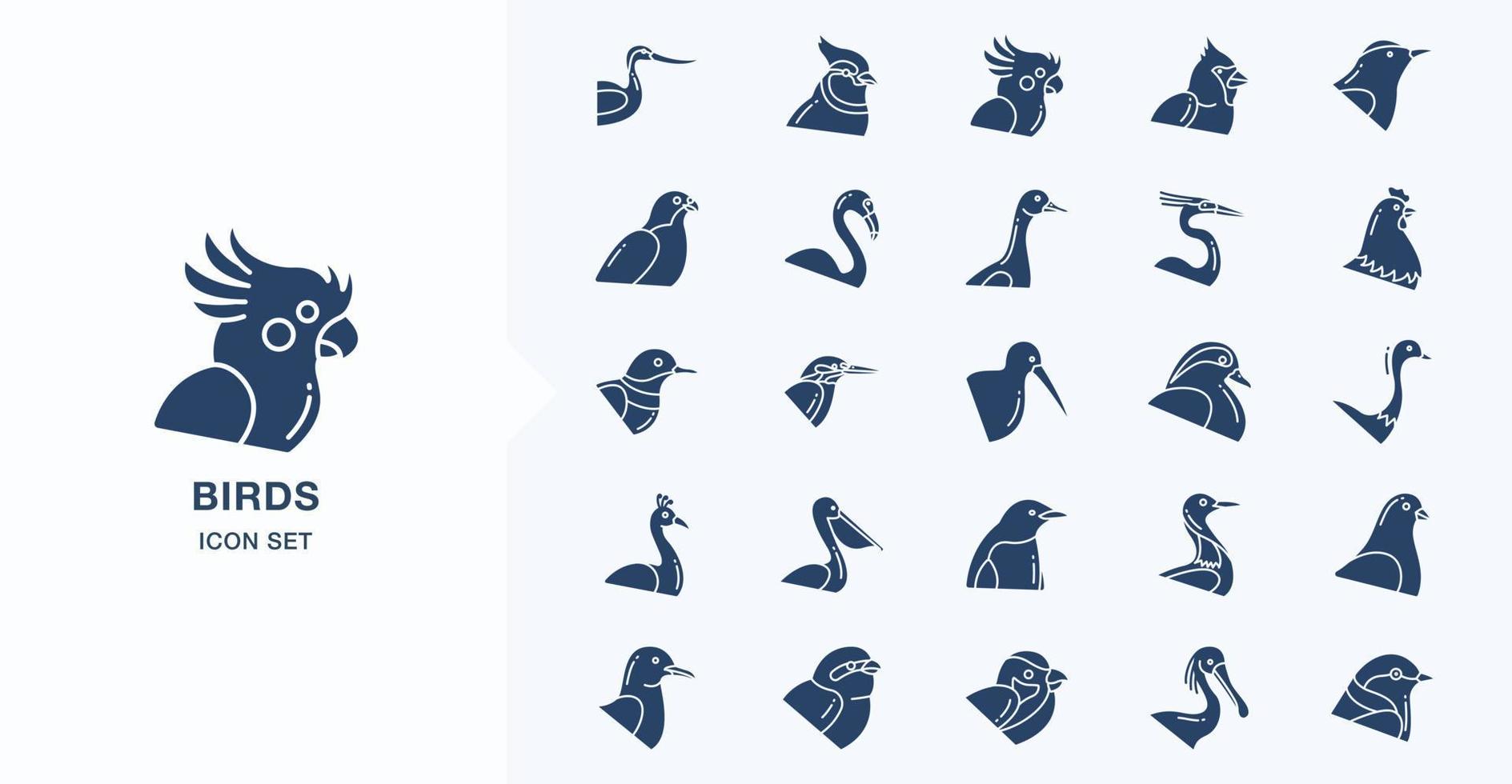 Variety of Birds solid icon set vector