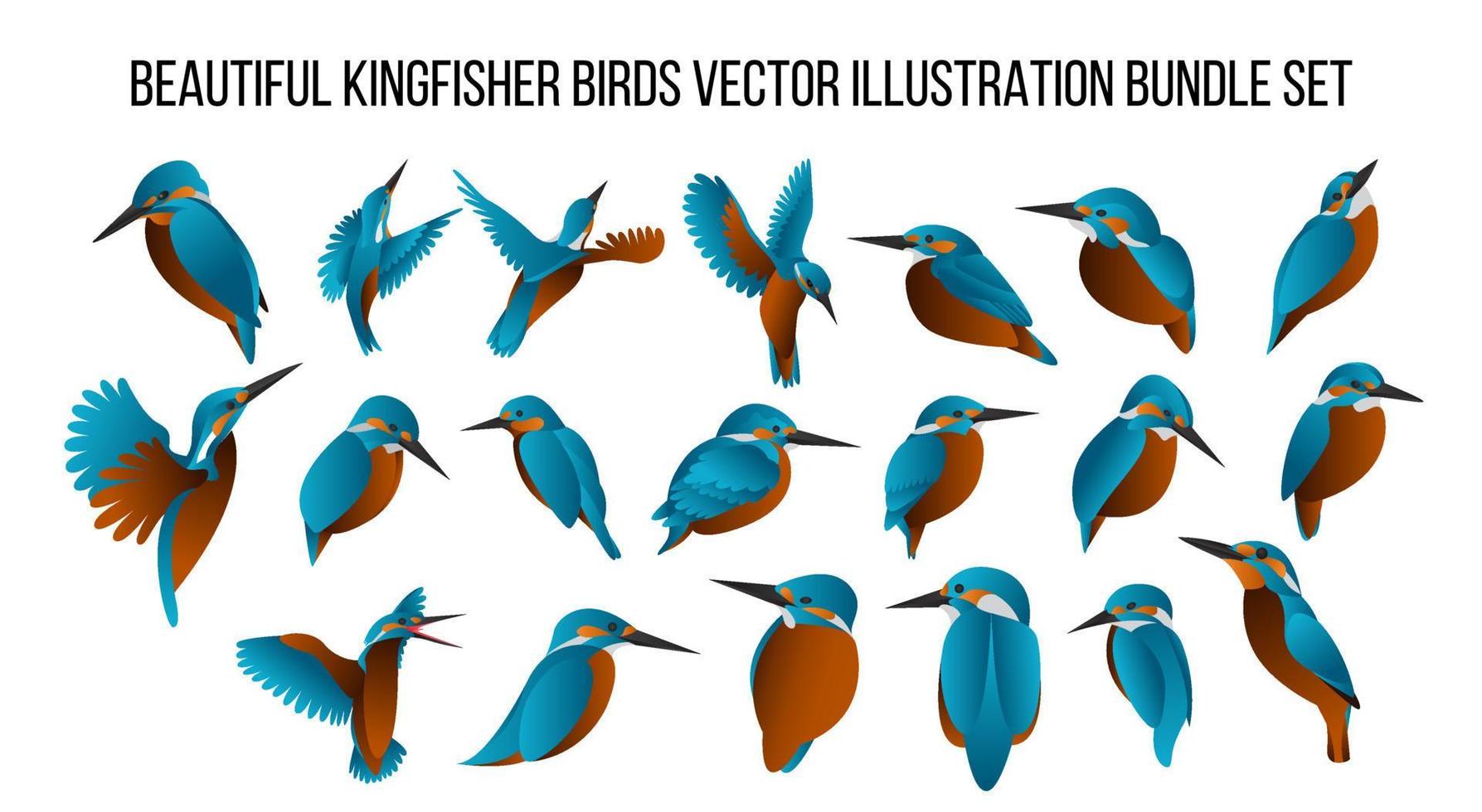 hermoso conjunto de ilustración vectorial de pájaros martín pescador con color degradado vector