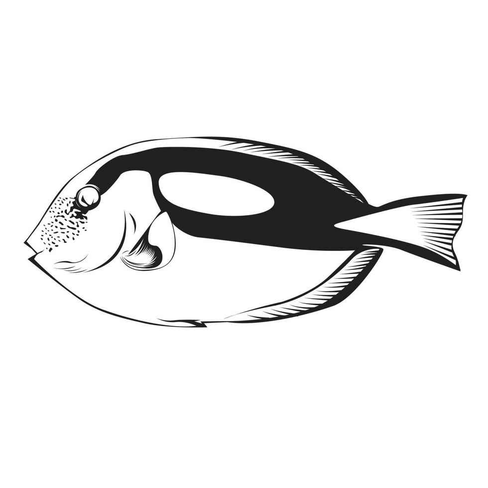 dori fish vector