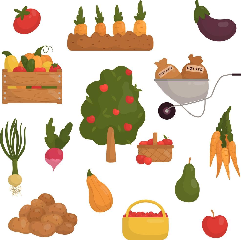 Vector set with vegetables and fruits