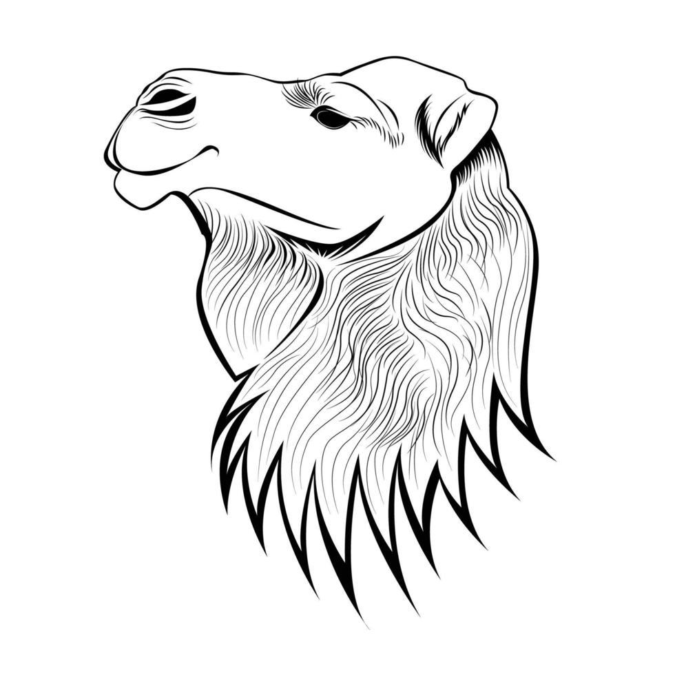 camel vector line art