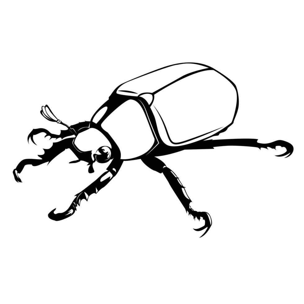 beetle vector illustration
