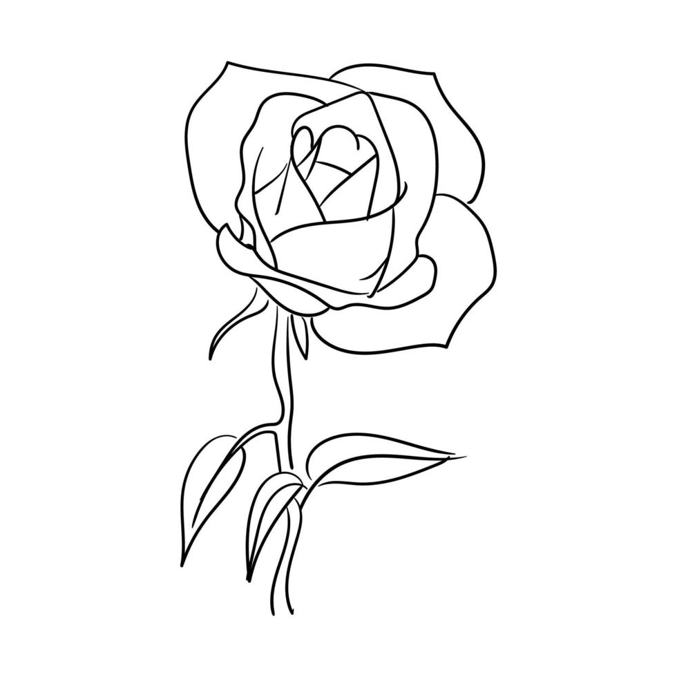 hand drawn line art rose flower vector illustration