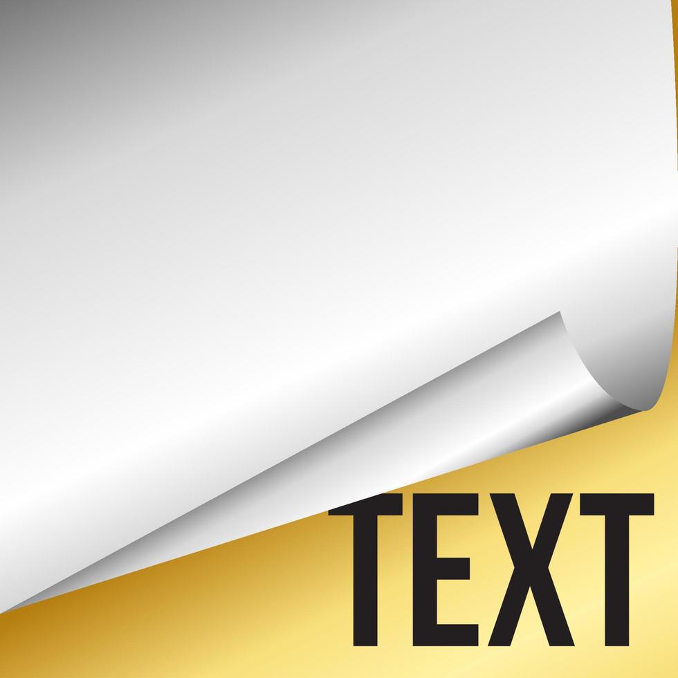 curled paper page corner vector