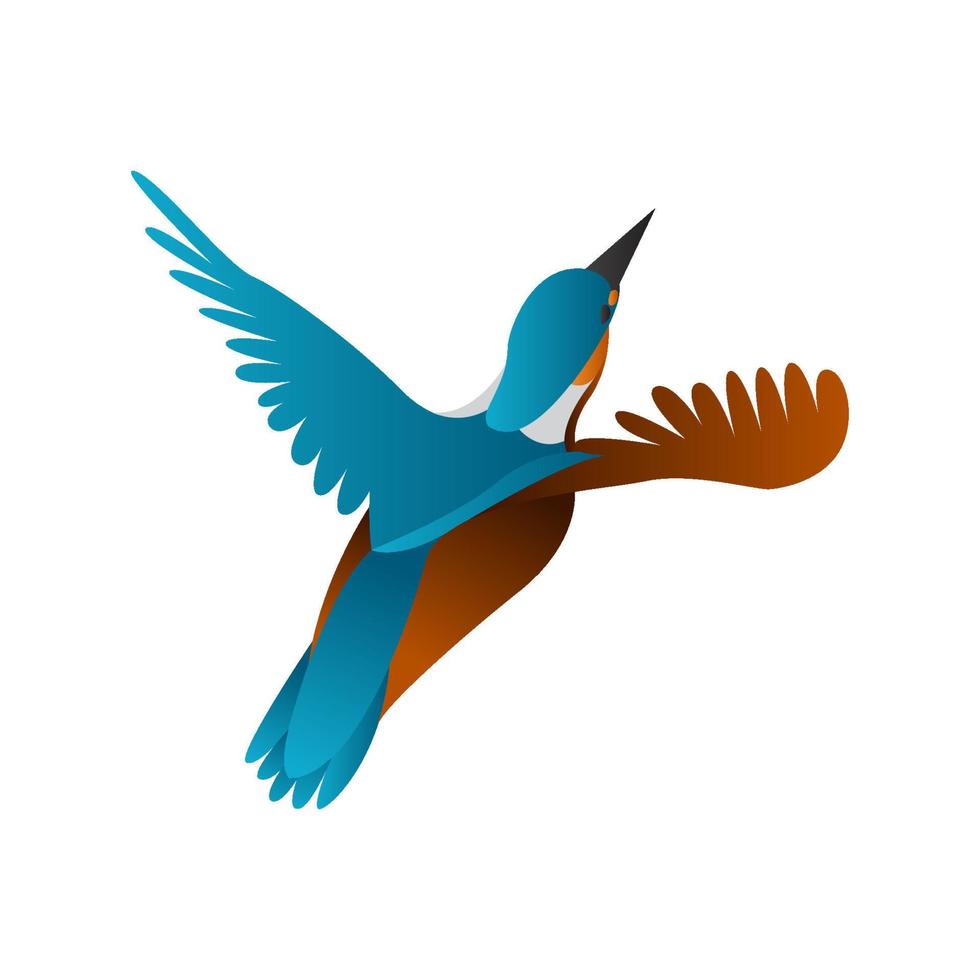 gradient kingfisher bird vector illustration