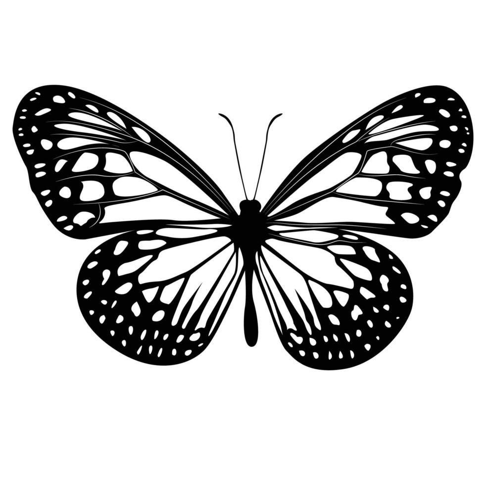 black white butterfly vector illustration