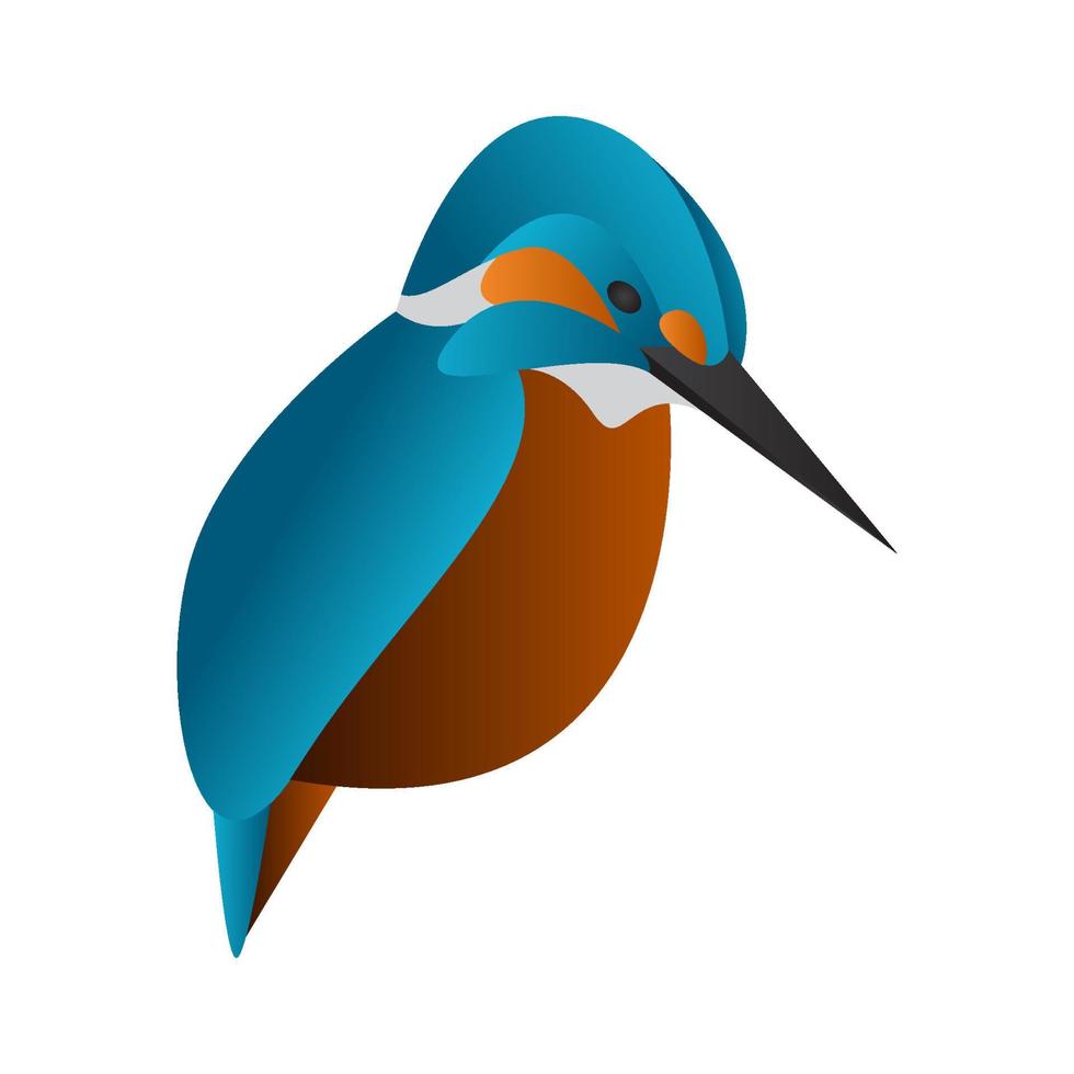 gradient kingfisher bird vector illustration