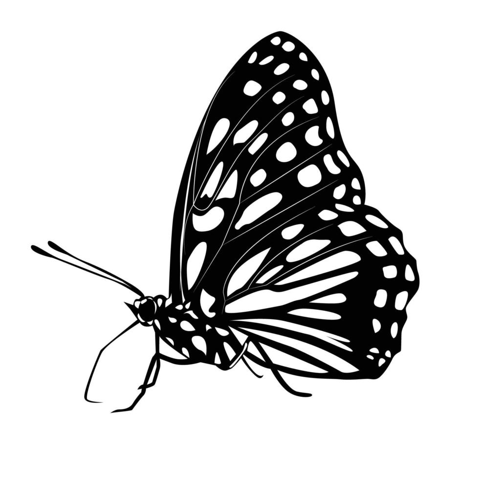 vector de mariposa blanco negro