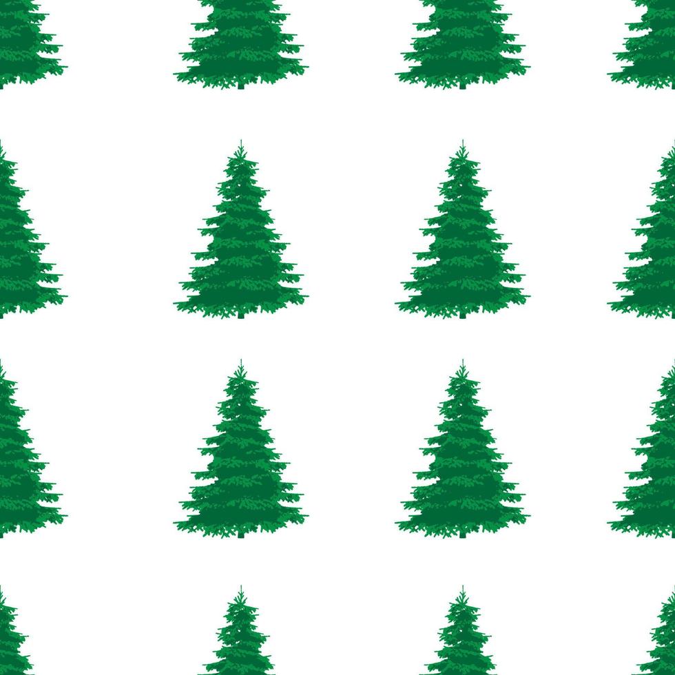 green spruce pine tree seamless pattern vector