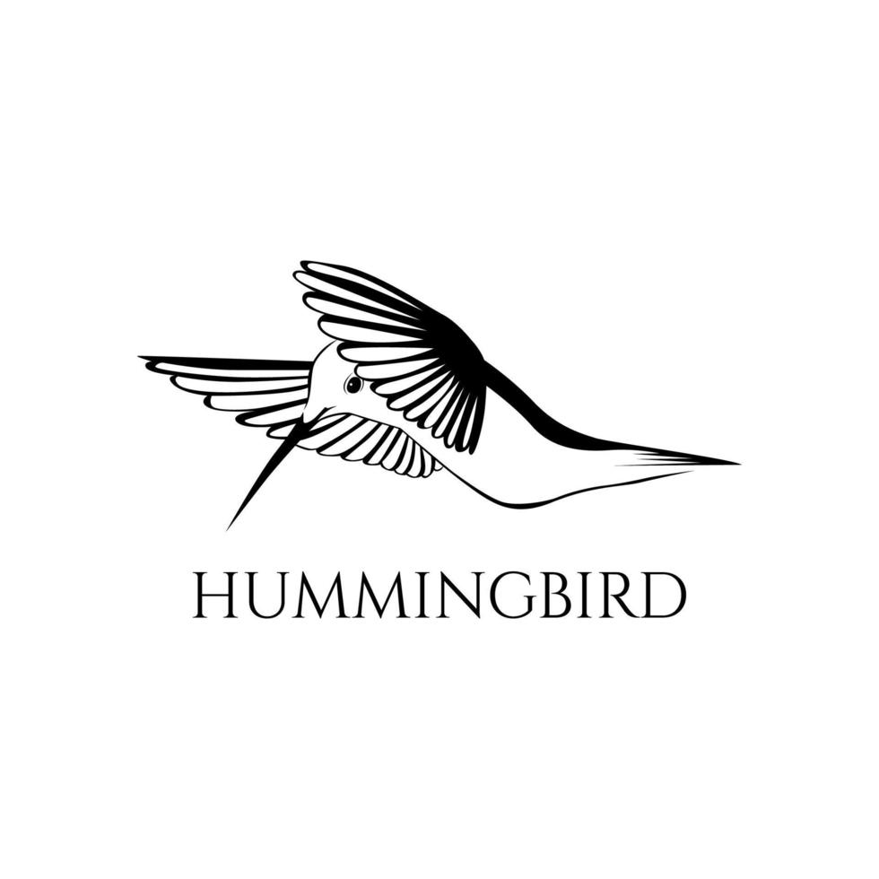 black and white hummingbird vector illustration 03