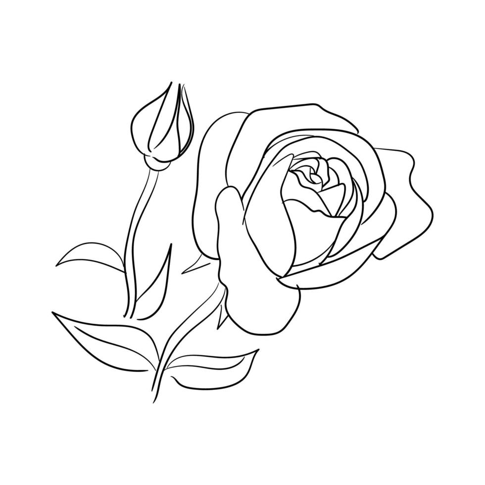 hand drawn line art rose flower vector illustration