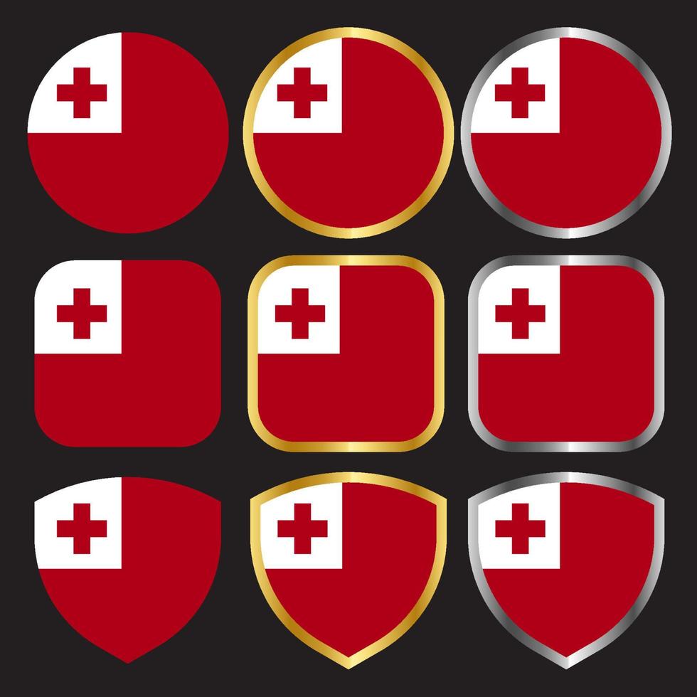 tonga flag vector icon set with gold and silver border