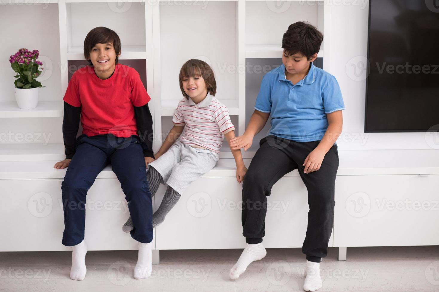 young boys posing on a shelf photo