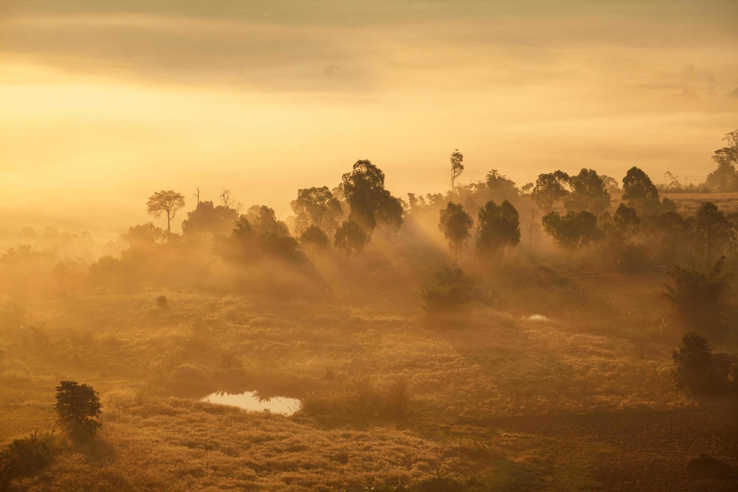 misty morning sunrise in forest at Khao Takhian Ngo View Point at Khao-kho Phetchabun,Thailand photo