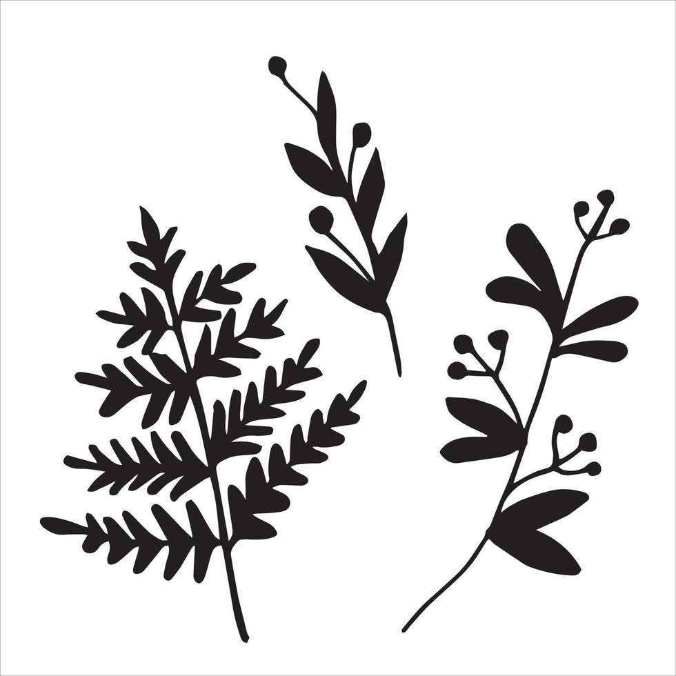 vector drawing in the style of doodle. herbs. simple black and white drawing of grass silhouette. fern, berries. isolated on white background.