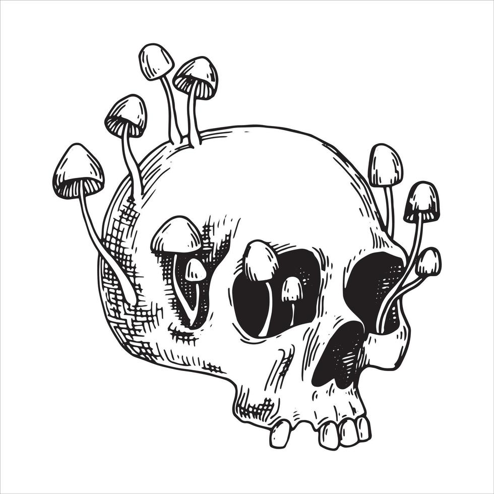 vector drawing skull and poisonous mushrooms. graphic drawing in sketch style. halloween theme, witchcraft, gothic