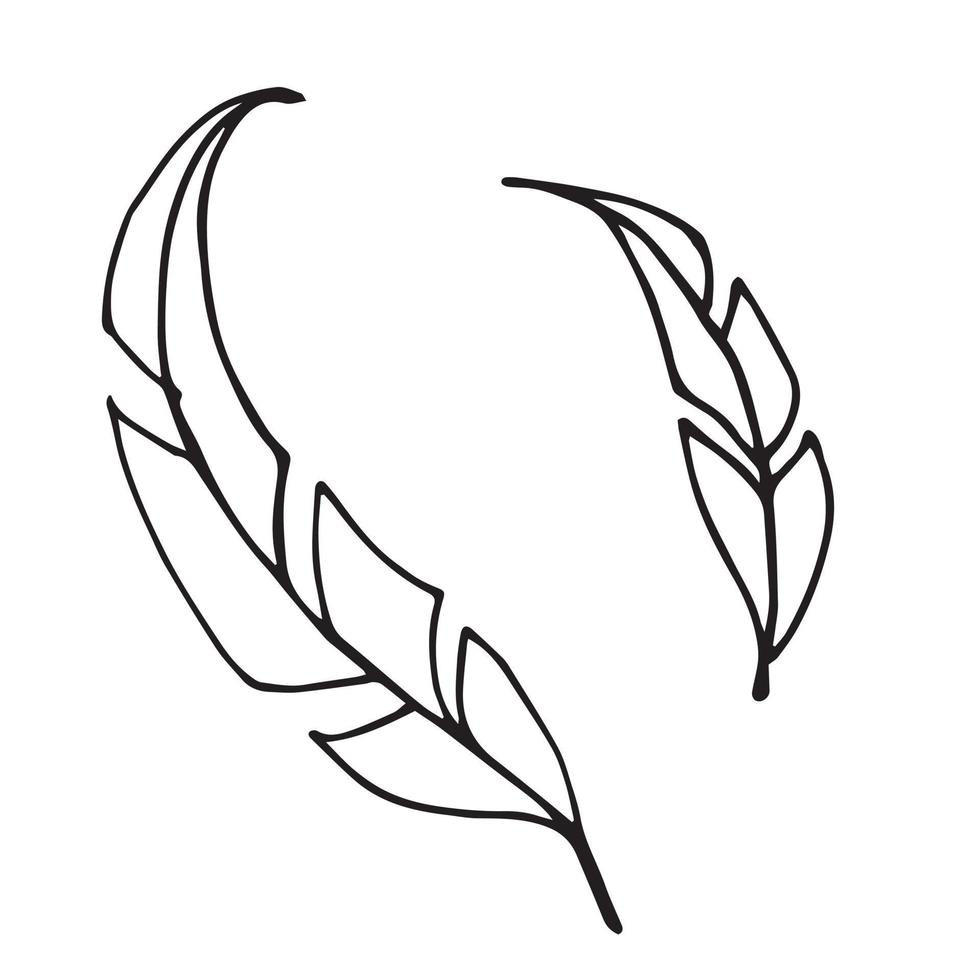 Simple vector doodle style drawing. stylized feathers. cute feathers hand drawing. graphic design element isolated on white background