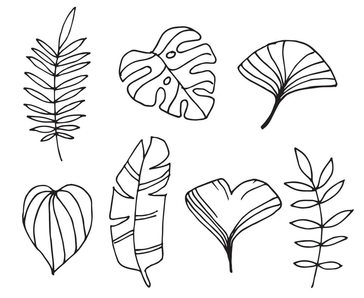 ilustración vectorial de estilo garabato. siluetas sencillas de hojas tropicales. hojas de palma de dibujo lineal, monstera, árbol de ginkgo. aislado sobre fondo blanco vector