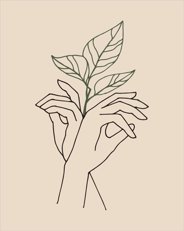 Stylized graceful female hands and a plant. Boho modern aesthetic background with women hand gestures. Modern minimalist art print, symbol of body care, eco cosmetics. vector