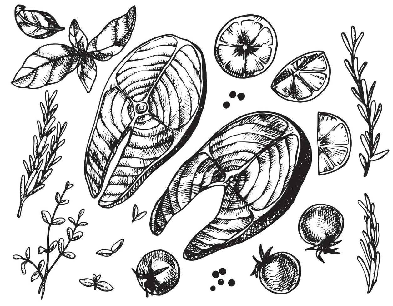 vector drawing in the style of graphics, engraving. vintage set of products fish trout, spices. rosemary, lemon, pepper. black and white graphics