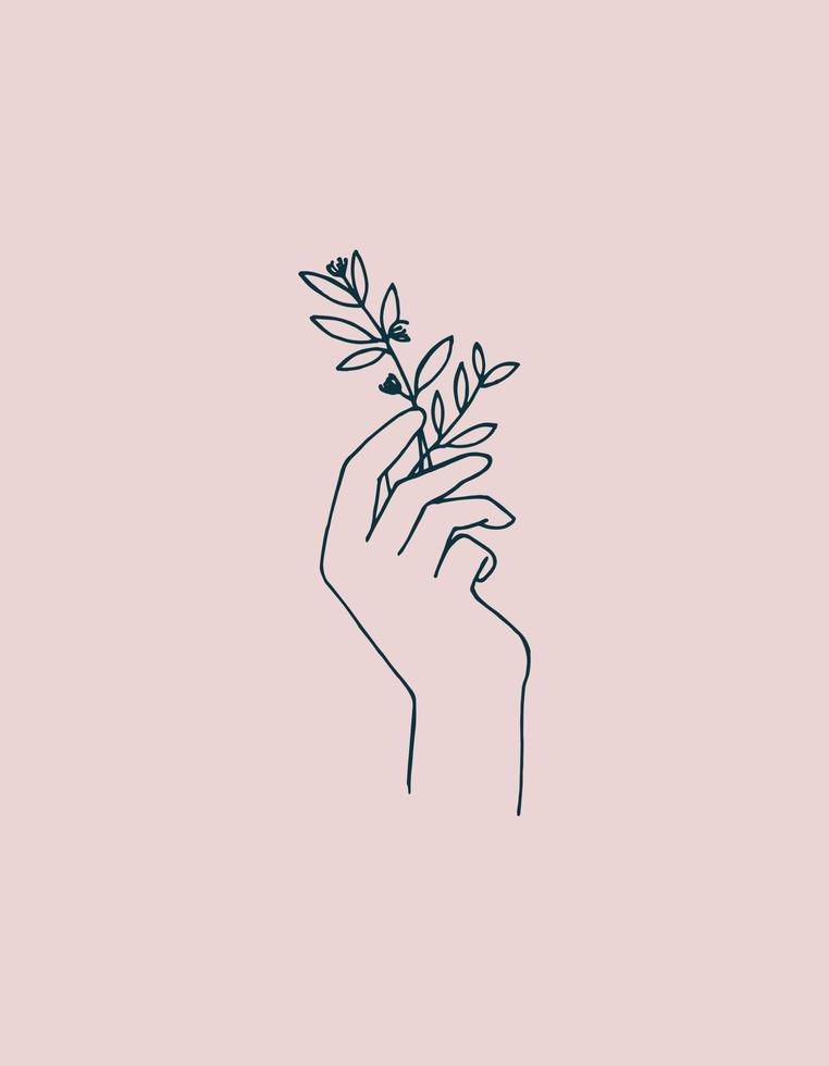 Vector illustration, line drawing. Female hand with a sprig of medicinal plant isolated on a pink background. a symbol of esotericism, magic, folk medicine. natural cosmetics, eco body care