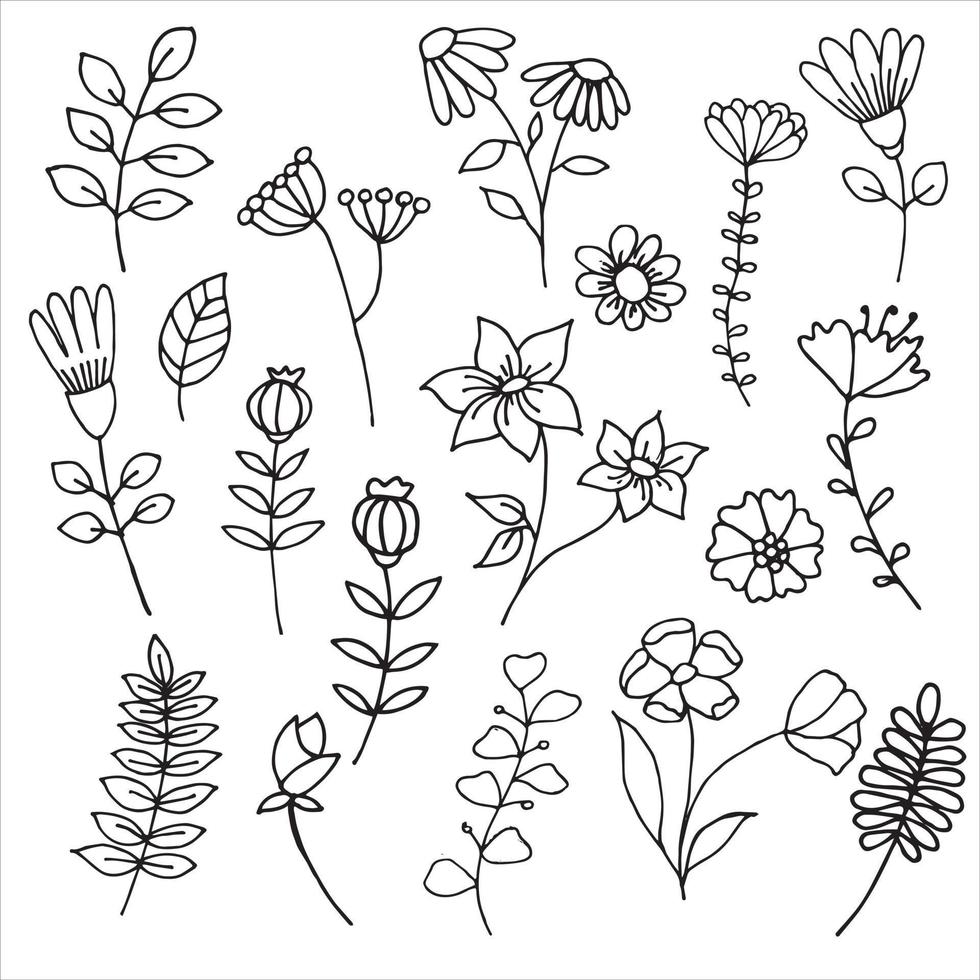 dibujo vectorial en estilo garabato, lindas flores y plantas, hojas y  ramitas dibujadas a mano. dibujo lineal minimalista y simple. ilustraciones  botánicas 10402839 Vector en Vecteezy