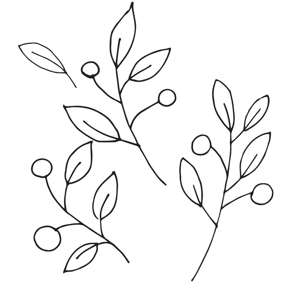 dibujo de estilo de garabato simple. planta estilizada con bayas. insignia de primavera, floración, plantas forestales. dibujar un conjunto de líneas vector