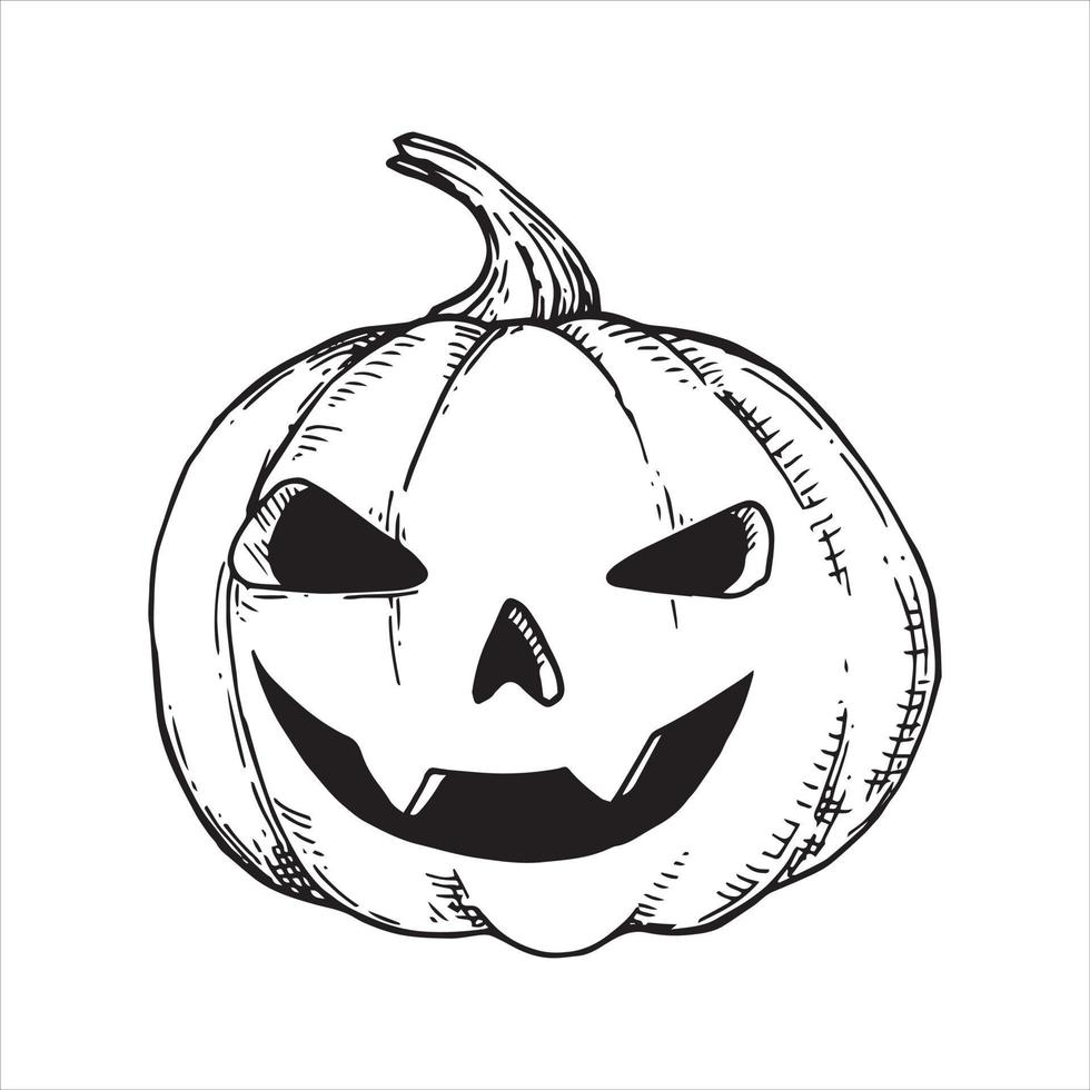 dibujo vectorial en blanco y negro en estilo antiguo. calabaza para halloween. aislado sobre fondo blanco calabaza. elemento de halloween, brujería, magia. dibujo gráfico en estilo retro vector