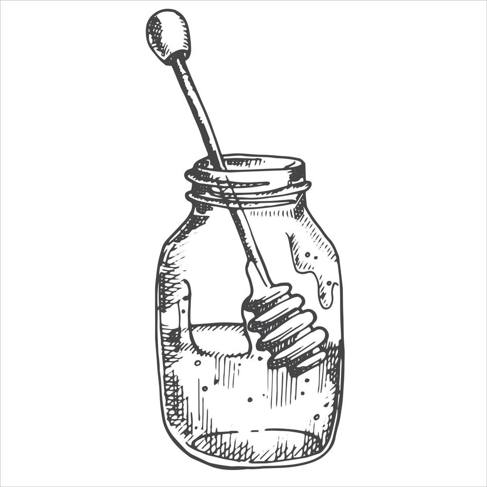 vector drawing in vintage style. honey. jar with honey, honeycombs. eco friendly product, food. graphic drawing engraving