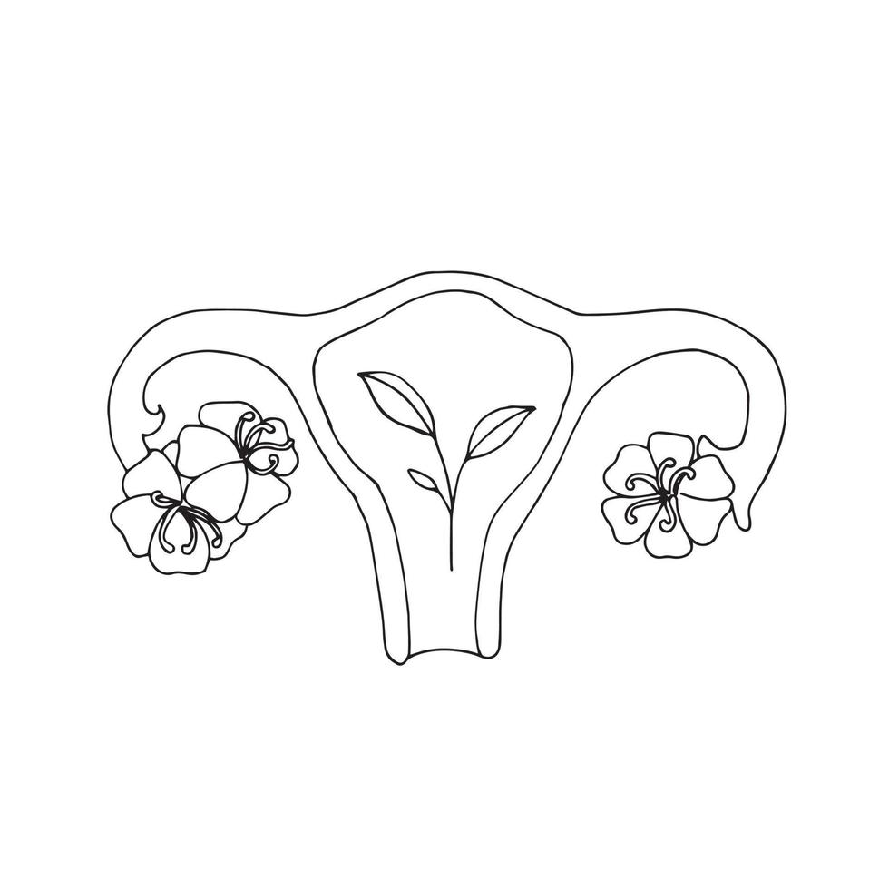 ilustración vectorial útero femenino y flores. símbolo de embarazo, parto, maternidad, lactancia. feminidad y maternidad natural. vector