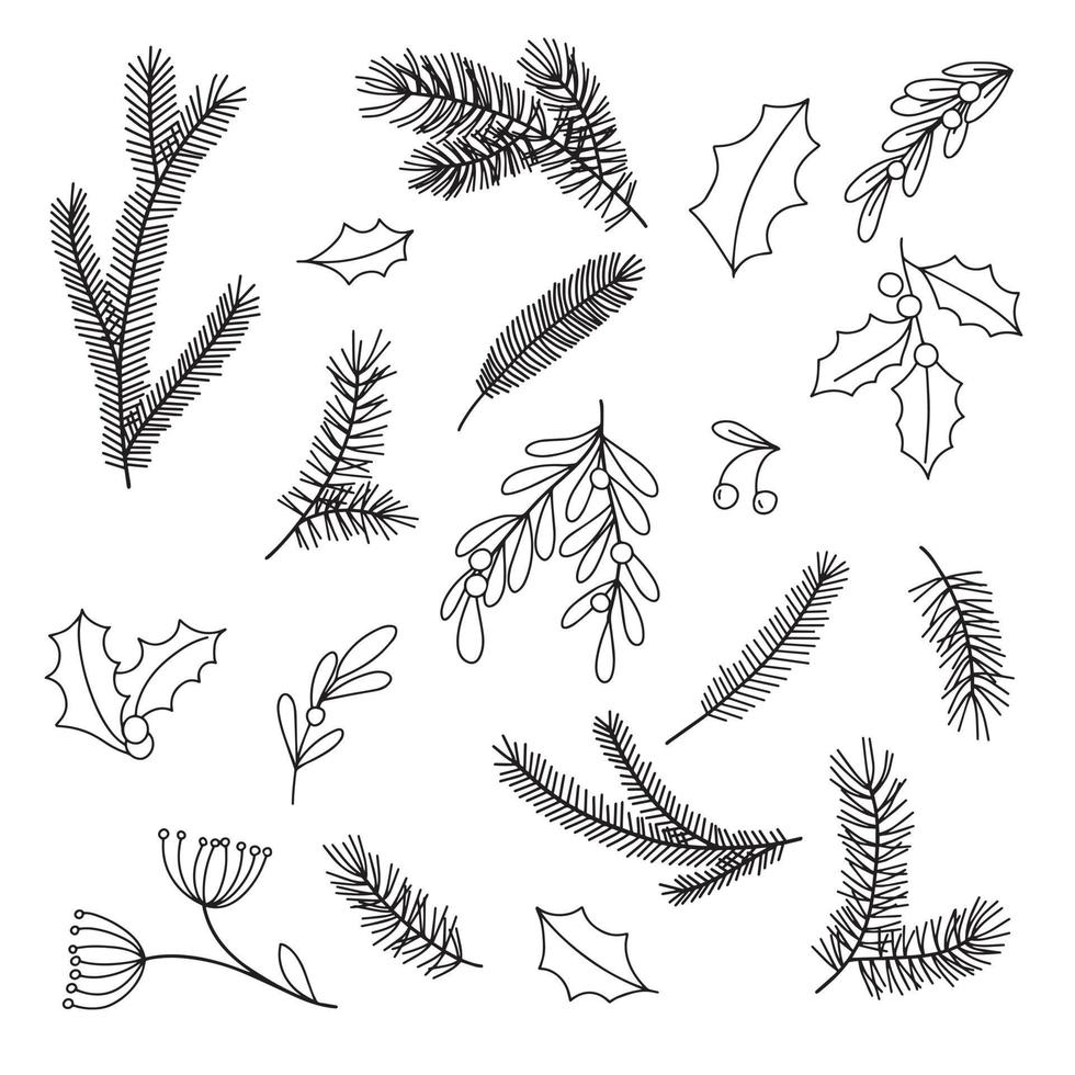 vector drawing in the style of doodle. branches of firs, fir-trees, leaves and berries of mistletoe, holly. simple abstract branches for christmas, new year decoration