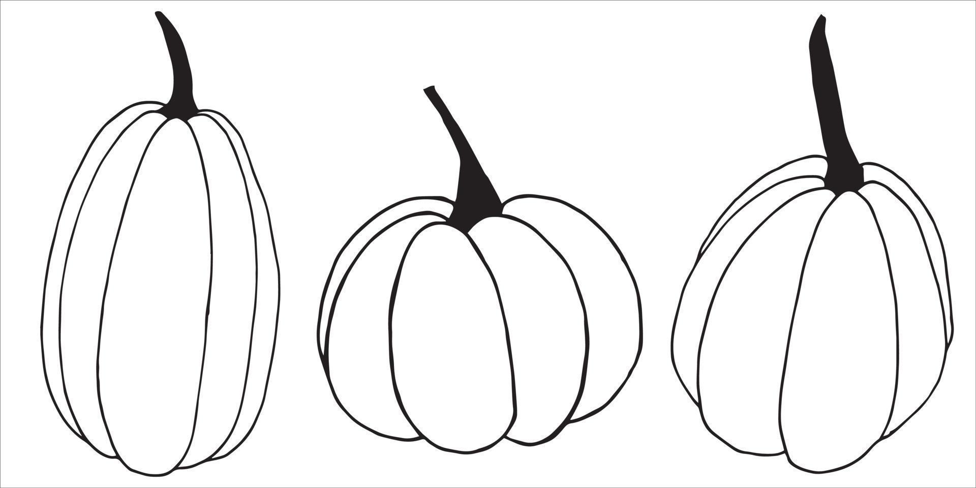 dibujo vectorial de linithmi en estilo doodle. calabazas en blanco y negro. ilustración simple, gráficos. aislado sobre fondo blanco calabaza, símbolo de otoño, halloween, acción de gracias vector