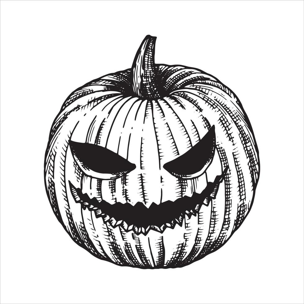 dibujo vectorial en blanco y negro en estilo antiguo. calabaza para halloween. aislado sobre fondo blanco calabaza. elemento de halloween, brujería, magia. dibujo gráfico en estilo retro vector