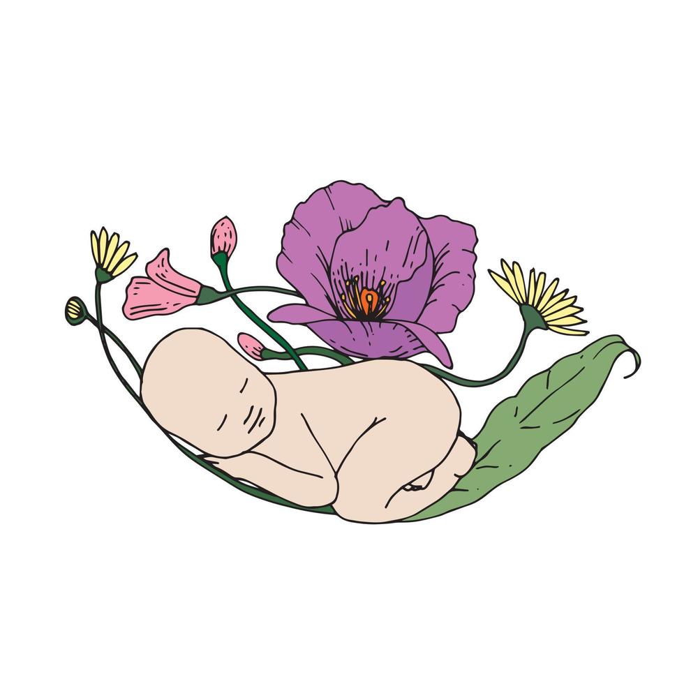 ilustración vectorial, el bebé duerme en flores. un niño pequeño duerme rodeado de colores brillantes. símbolo de maternidad, embarazo, parto, lactancia. natural vector
