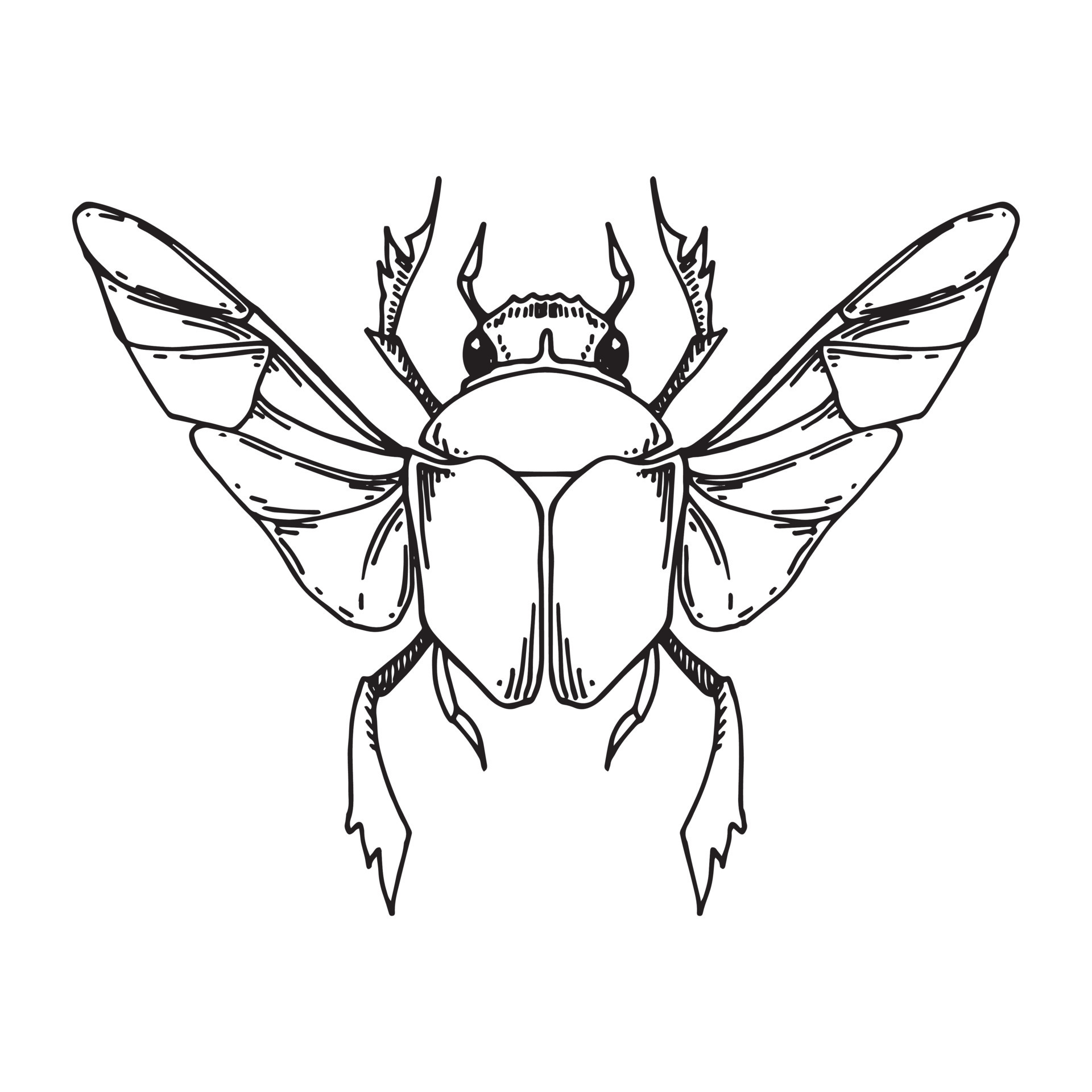 Made a bugs with wings flash sheet today : TattooDesigns | Insect art, Art  reference, Art inspo