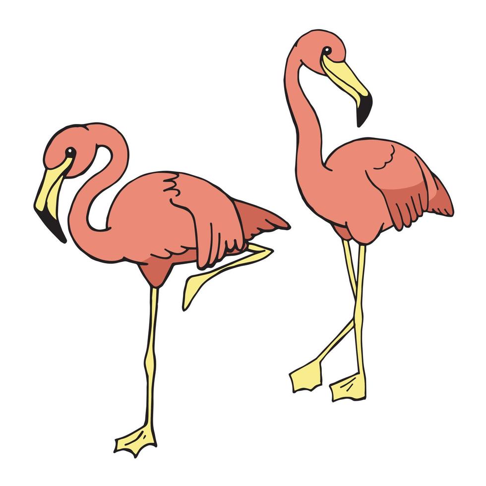 ilustración vectorial, boceto de color. conjunto de aves tropicales. colección de flamencos rosas. dibujo a mano simple aislado sobre fondo blanco. lindas imágenes prediseñadas para niños vector