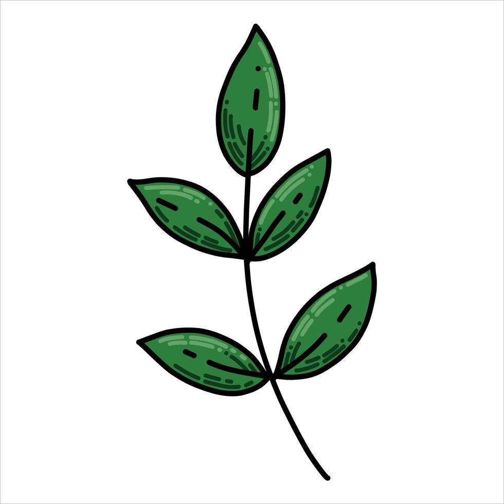 ilustración vectorial en estilo garabato. lindas hojas verdes. dibujos animados de dibujo moderno vector